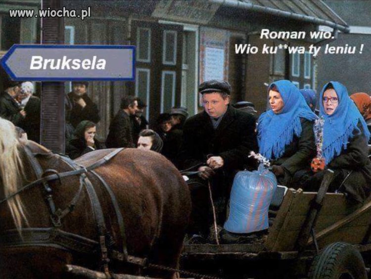 Roman wio do Brukseli 