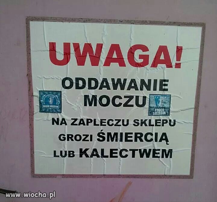 Ciekawe który to sklep 