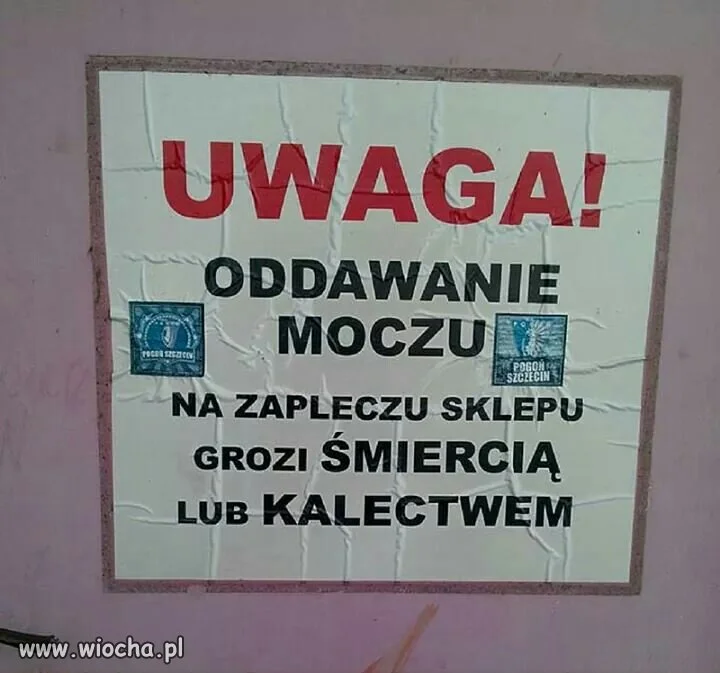 Ciekawe który to sklep 