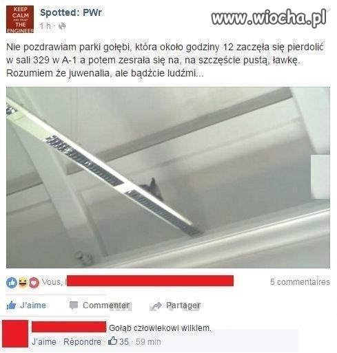 Bądźcie ludźmi...