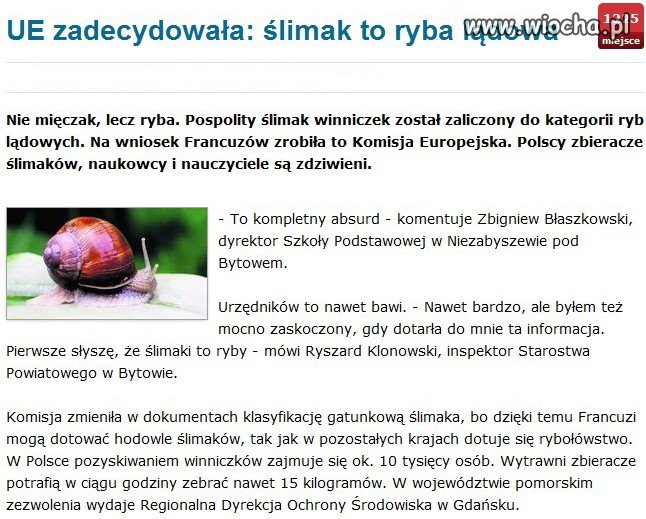 Masz swoją działkę? Bierz wędkę i na ryby