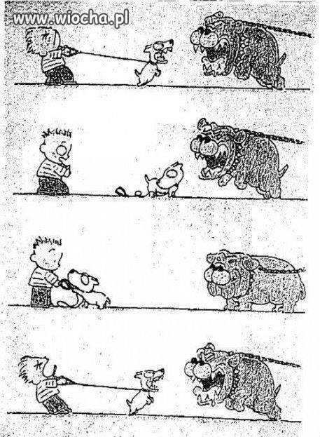 Metafora internetu