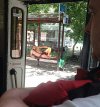 Elo, Twój książę , czeka na przystanku 