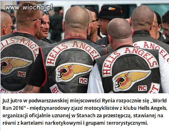 Aniołki z Piekła nie stanowią zagrożenia 