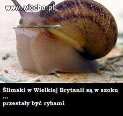 Skutki brexitu