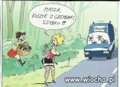 Grzybiarki