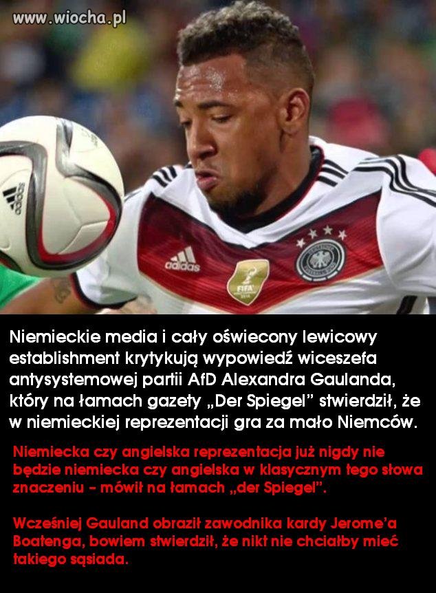 Ja się z Panem Gaulandem zgadzam...