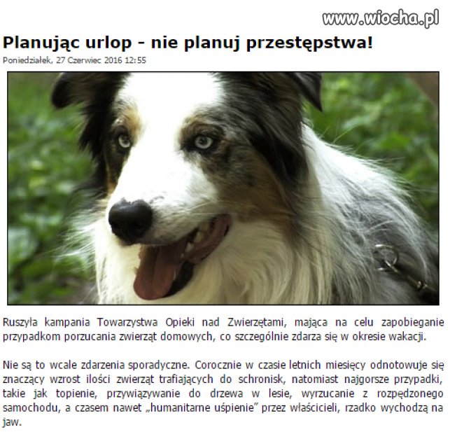 Tak dla przypomnienia