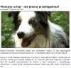 Tak dla przypomnienia