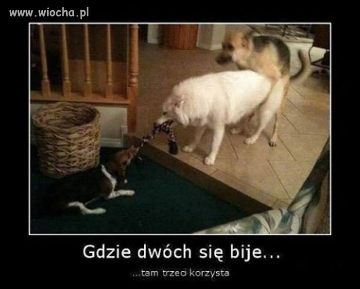 To się nigdy nie zmieni... 