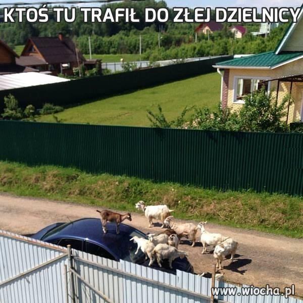 Ktoś tu trafił do złej dzielnicy