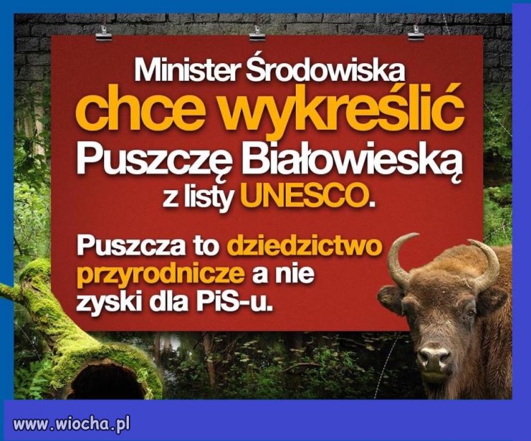 Puszcza to dziedzictwo narodowe, a nie zyski dla PiSu