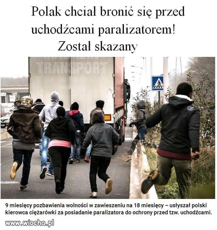 Śmiechu warte. Paranoja. 