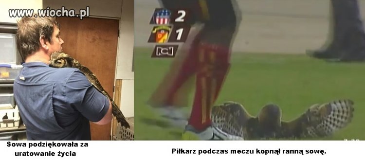 Mówi się o zezwierzęceniu ludzi. Chcę by ludzie...