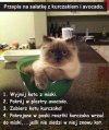 Przepis na sałatkę z kurczakiem i avocado