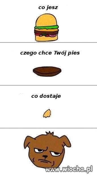 Pies
