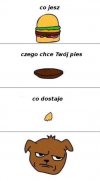 Pies