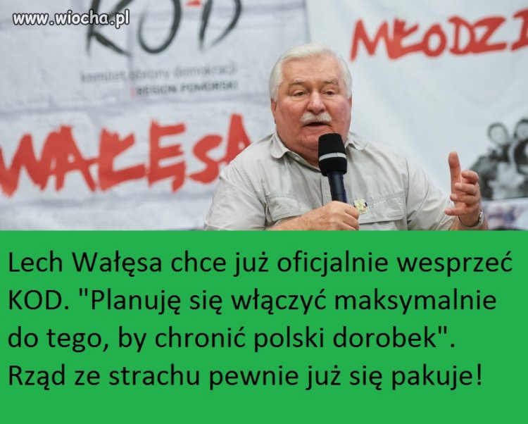 Opis