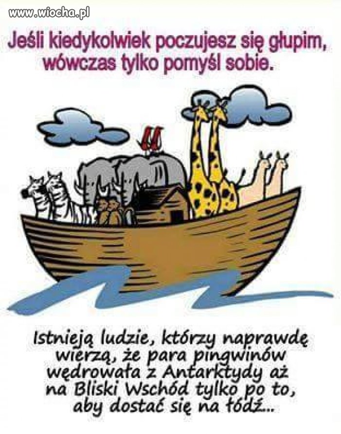 Zawsze znajdą się głupsi 