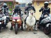 Zagadka. Który to Arab?