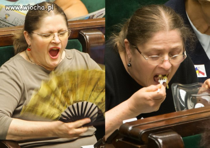Za taksówki Krystyny Pawłowicz podatnicy zapłacili