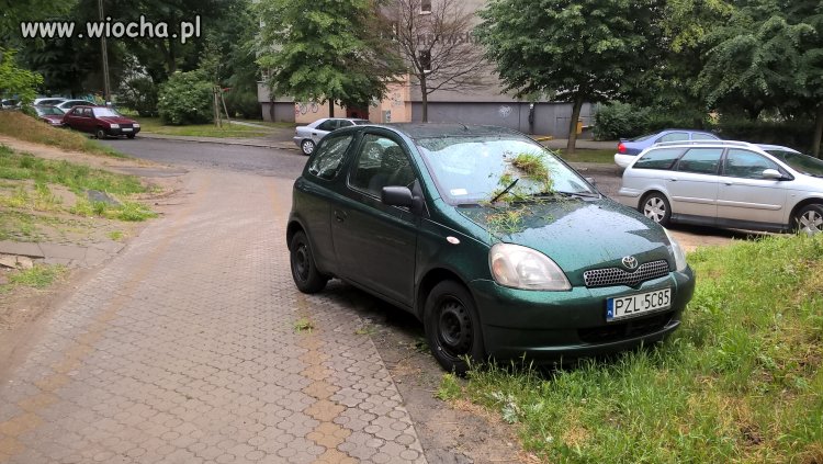 Szczecin Niebko upomina