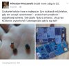 Kiedy nie jesteś na bieżąco 