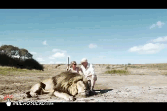 Karma