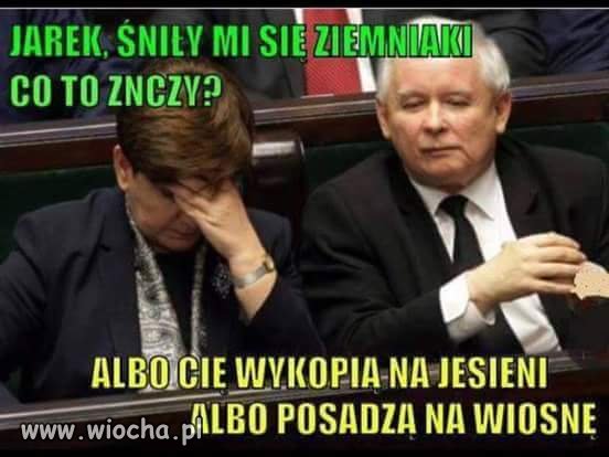 Natury nie oszukasz