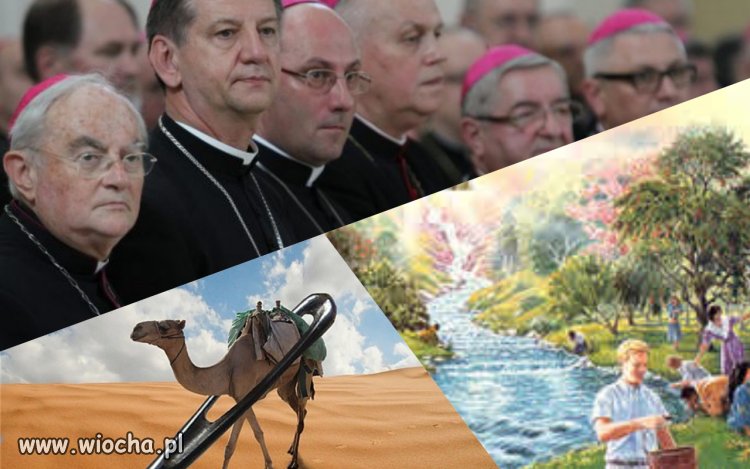 "Łatwiej jest wielbłądowi przejść przez ucho