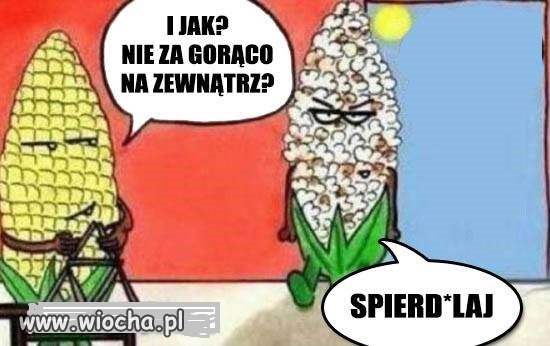 Upały, wszystkim dają się we znaki.