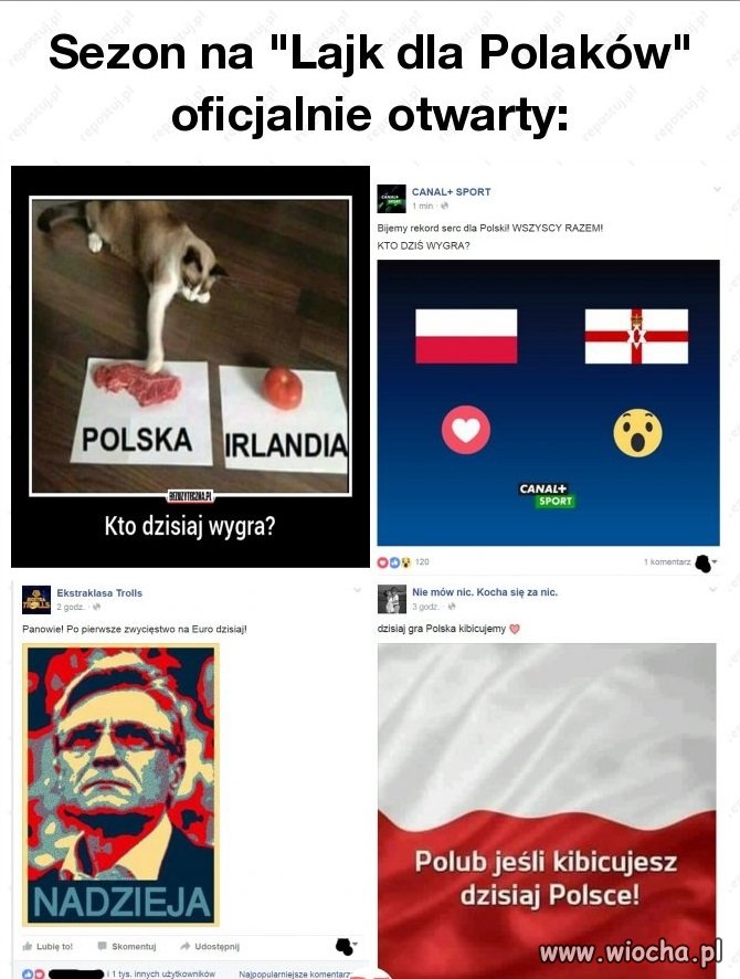Memy