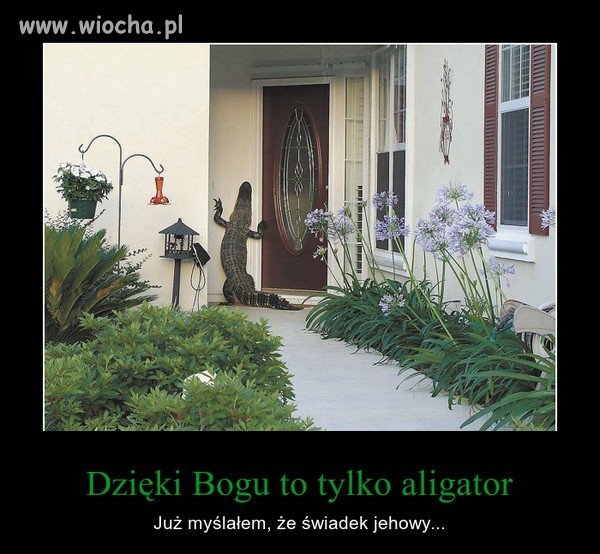 Dzień dobry, zastałem Jolkę?