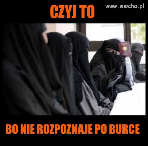 Paszport