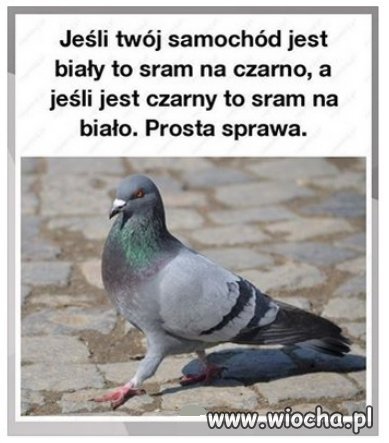 Prosta sprawa