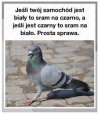 Prosta sprawa