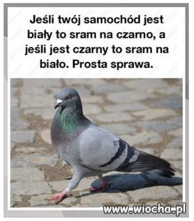 Prosta sprawa