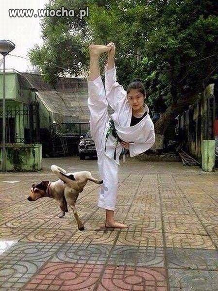 Kung Fu pies