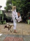 Kung Fu pies