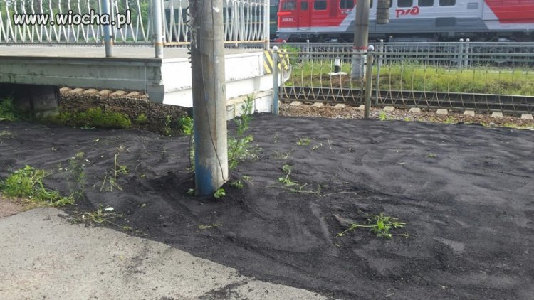 "Zaasfaltowali" plac zieleni, 