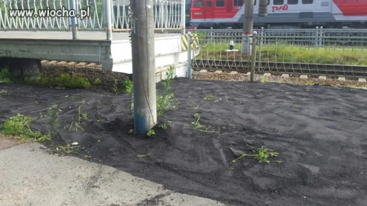 "Zaasfaltowali" plac zieleni, 