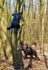 Mówili: W lesie na spacerku będzie fajnie