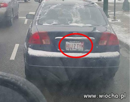 Luzak.