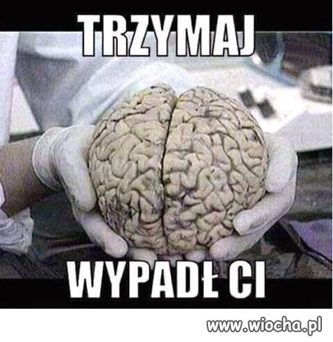 Kiedy czytam "dyskusje" o polityce na wiocha