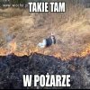 Z cyklu ,,Takie tam''