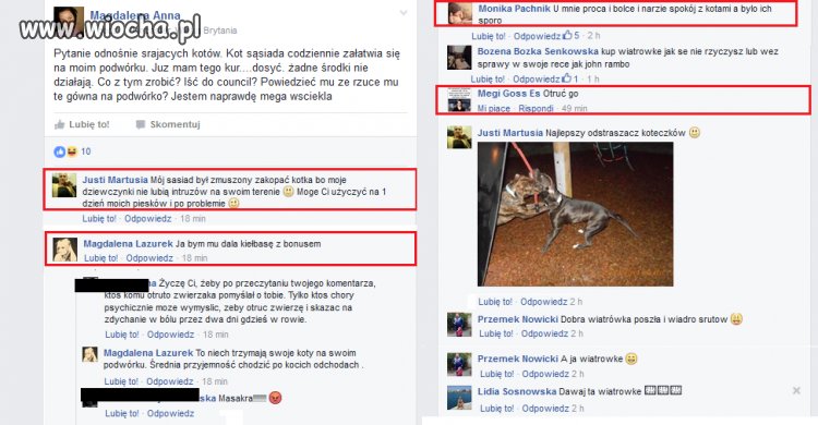 Zastanawialiście się kiedyś kim są ci psychole,  