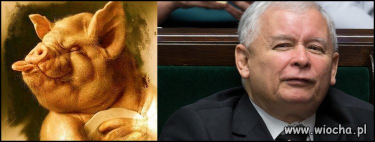 Jak jakiś lider