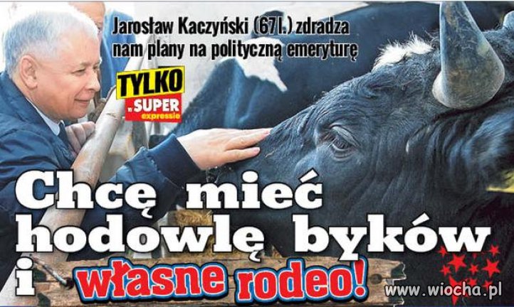 Tytuły z niemieckiej prasy