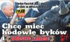 Tytuły z niemieckiej prasy
