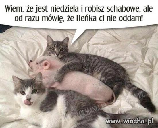 Mój ci on jest